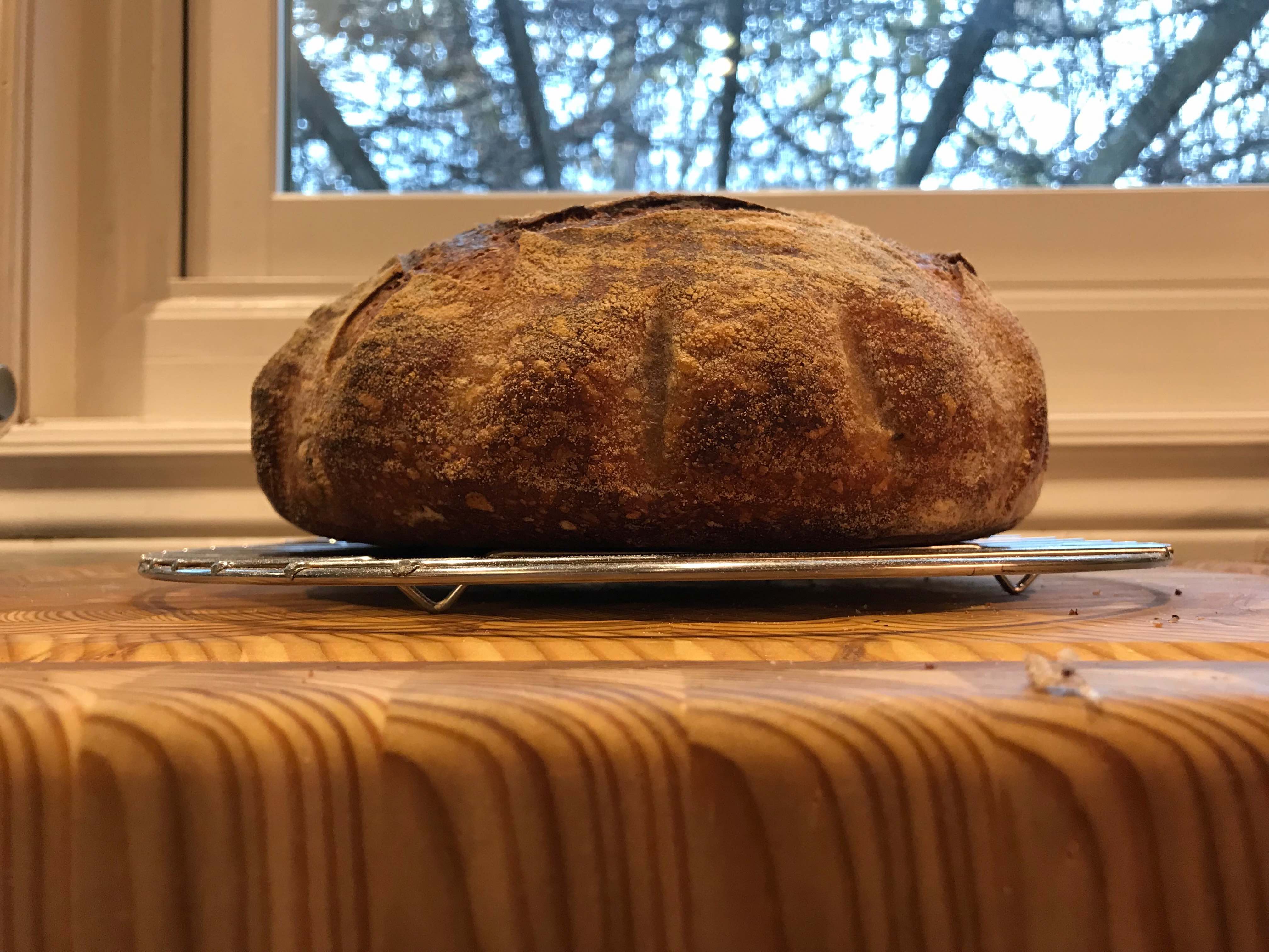 Cross-section of the baked boule