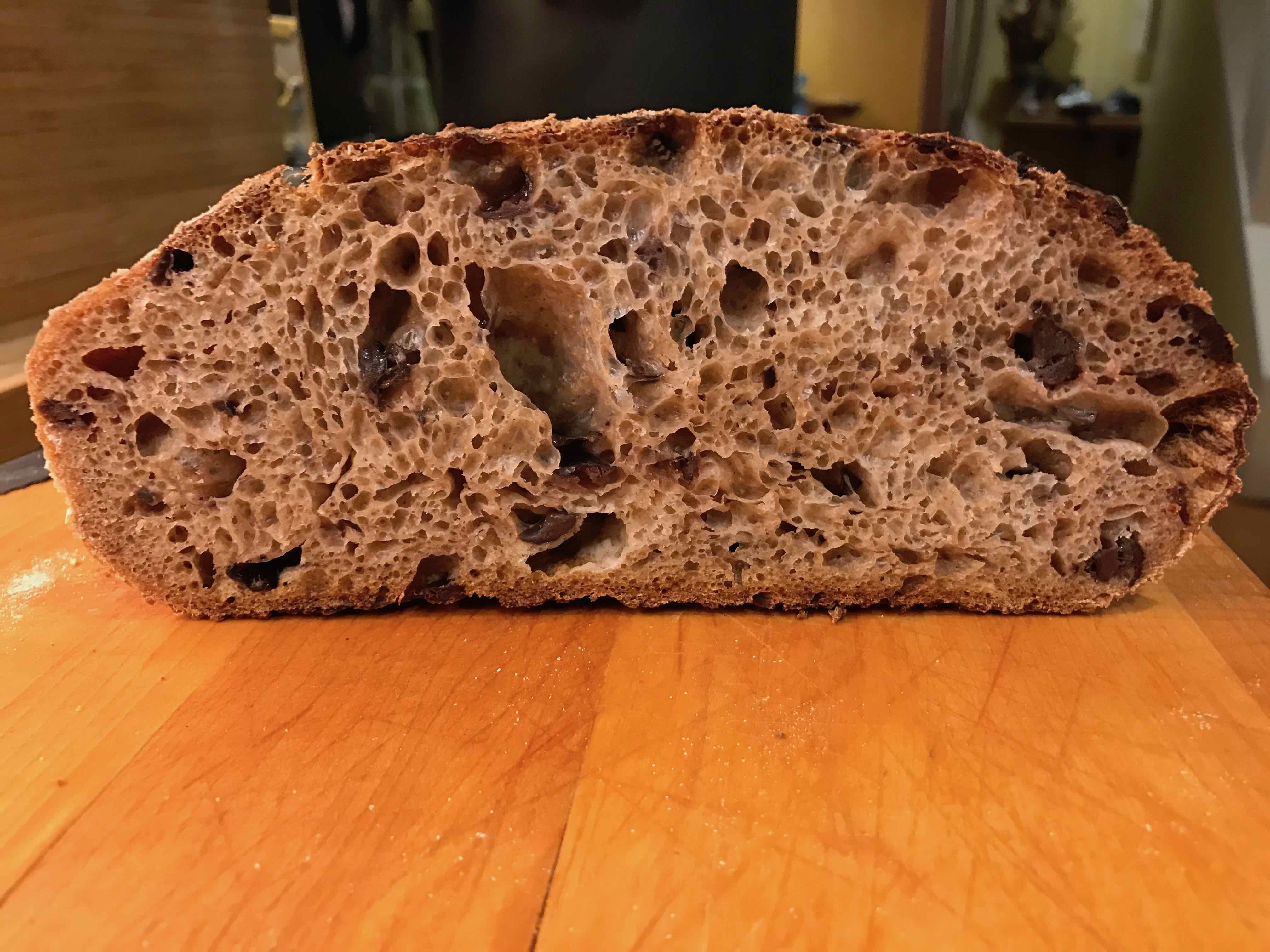 Cross-section of the crumb